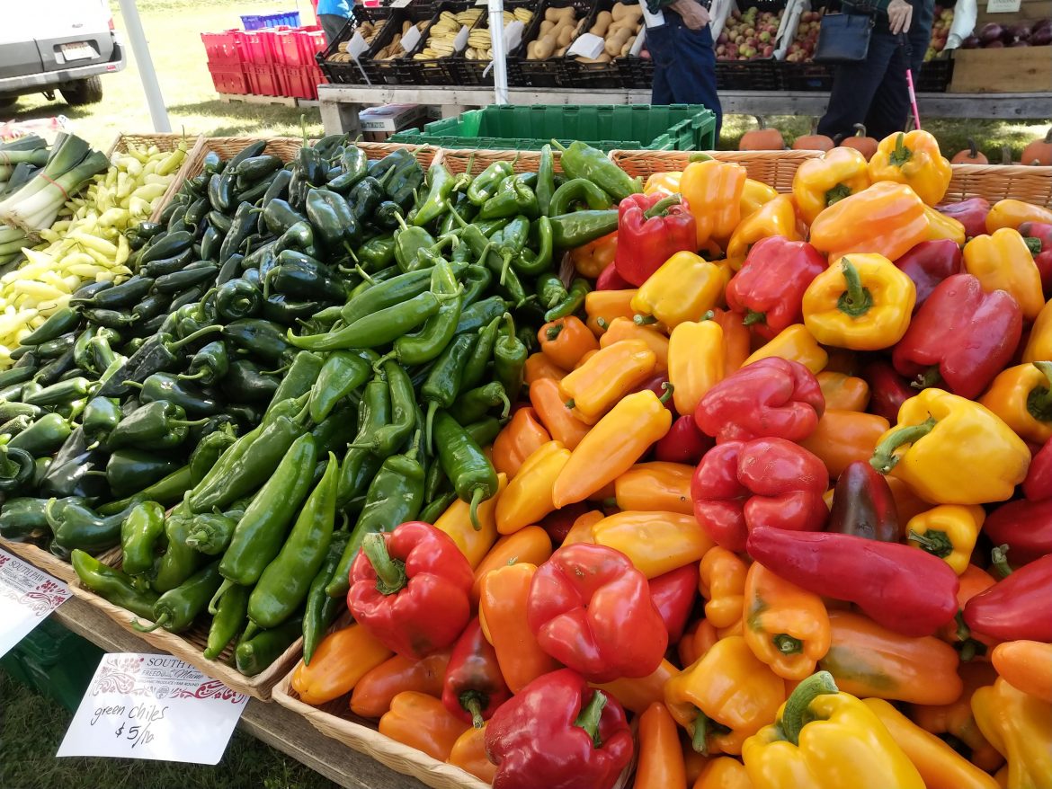 Common Ground Fair 2019